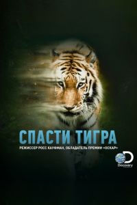 Спасти тигра