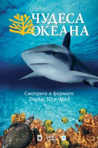 Чудеса океана 3D