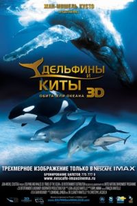 Дельфины и киты 3D